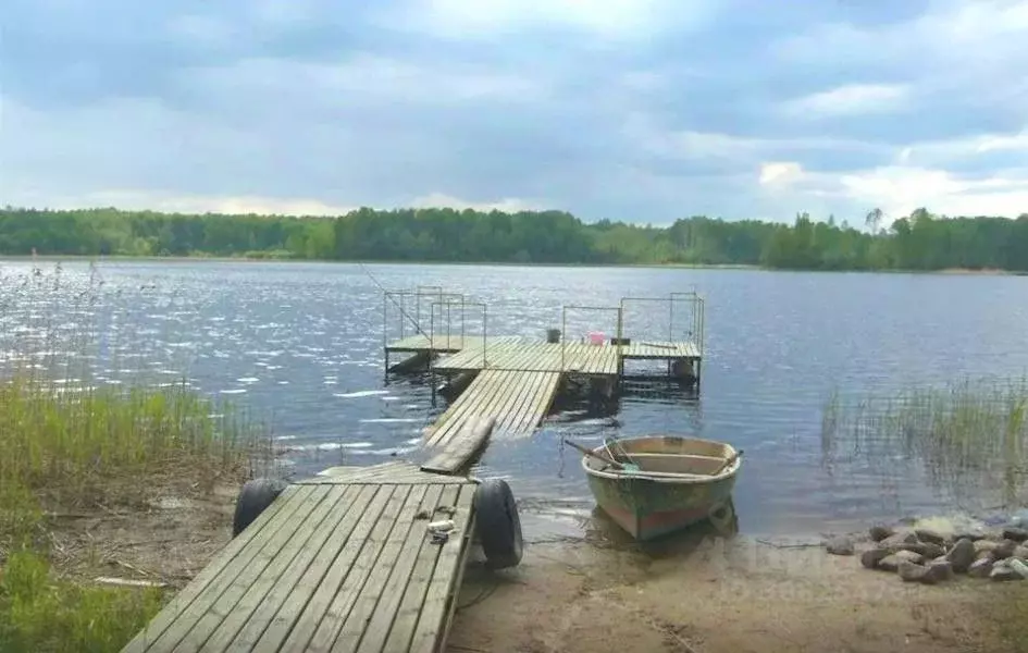 Участок в Ленинградская область, Приозерский район, Ромашкинское ... - Фото 0