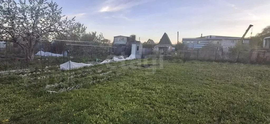 Участок в Омск, садоводческое некоммерческое товарищество Каучук (4.71 ... - Фото 2