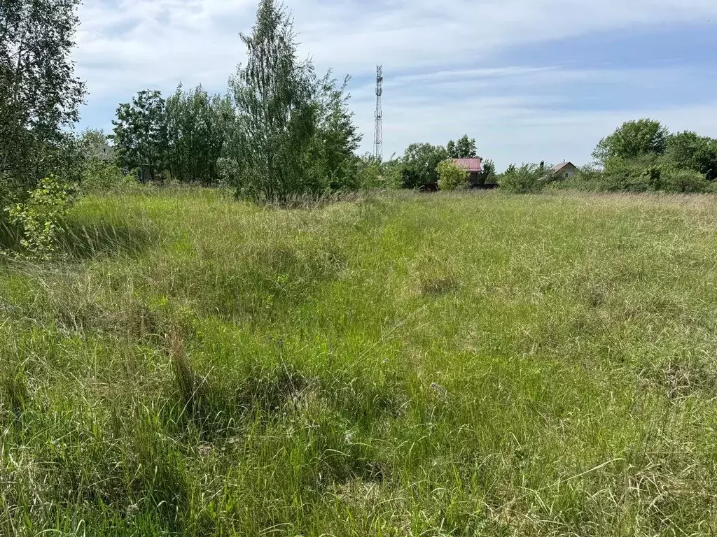 Участок в Московская область, Богородский городской округ, д. Меленки  ... - Фото 0