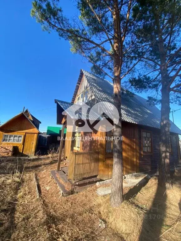 Дом в Новосибирская область, Колыванский район, Калина красная садовое ... - Фото 1