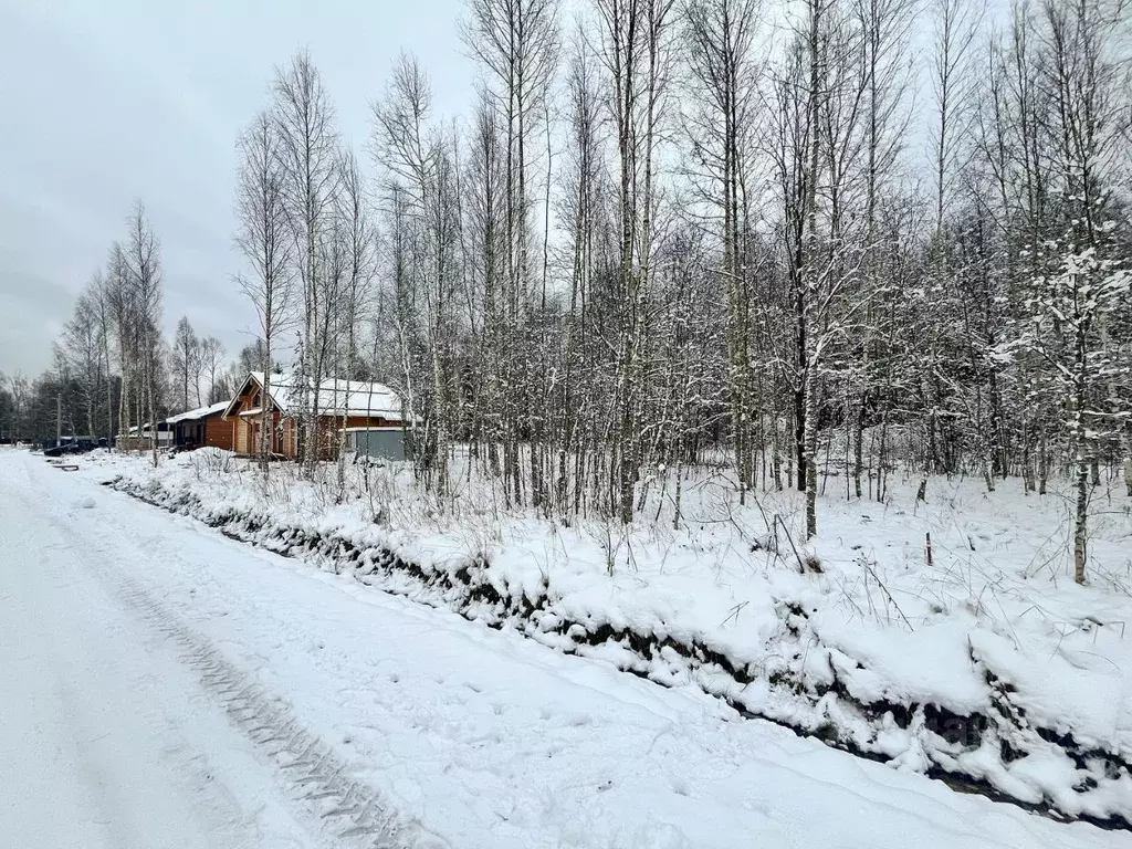 Участок в Ленинградская область, Всеволожский район, Колтушское ... - Фото 2