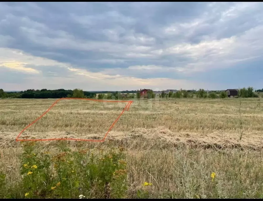 Участок в Белгородская область, Корочанский район, Мелиховское с/пос, ... - Фото 1