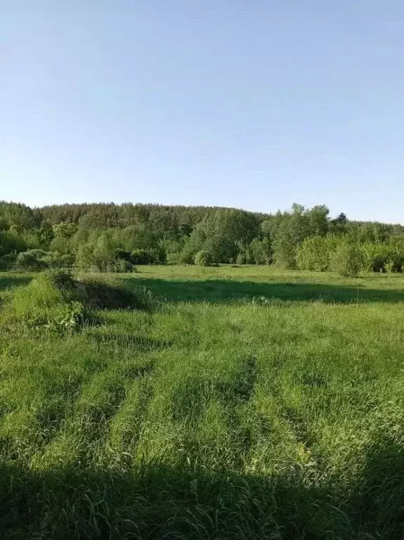 Дом в Тамбовская область, Тамбовский муниципальный округ, с. Сурава ... - Фото 2