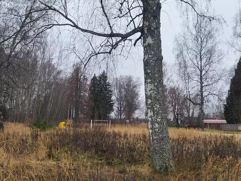 Дом в Фурмановский район, Широковское сельское поселение, деревня ... - Фото 2