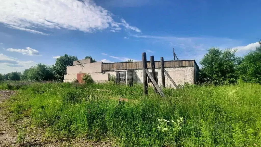 Склад в Пермский край, Березники муниципальный округ, д. Пешково ул. ... - Фото 2