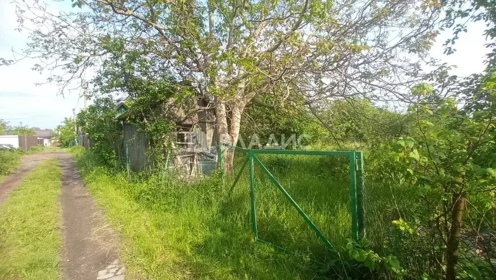 Участок в Калининград, СТ Победа, 1-я Траловая улица (5.2 м) - Фото 0