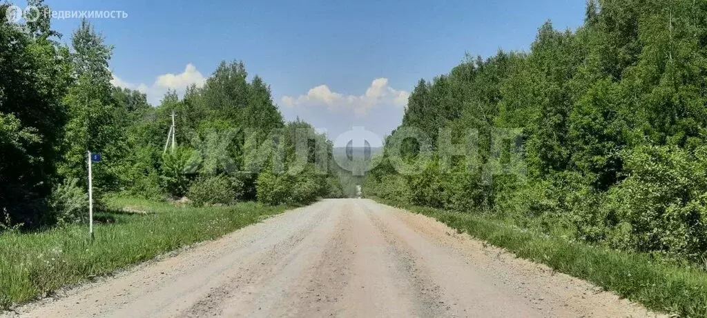Участок в Морозовский сельсовет, дачное некоммерческое товарищество ... - Фото 1