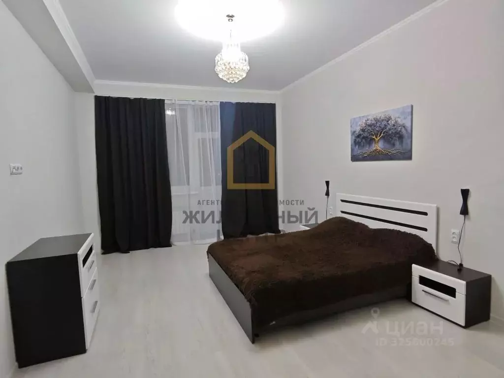 1-к кв. Ставропольский край, Ессентуки Новопятигорская ул., 1/2 (62.8 ... - Фото 1