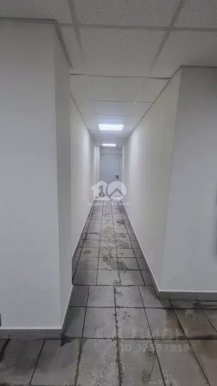 Помещение свободного назначения в Новосибирская область, Новосибирск ... - Фото 1