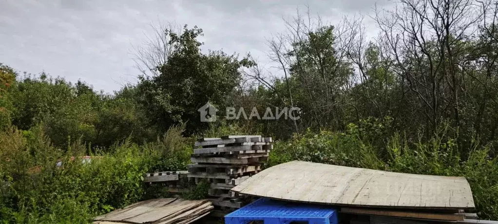 Участок в Владимирская область, Собинский муниципальный округ, с. ... - Фото 2