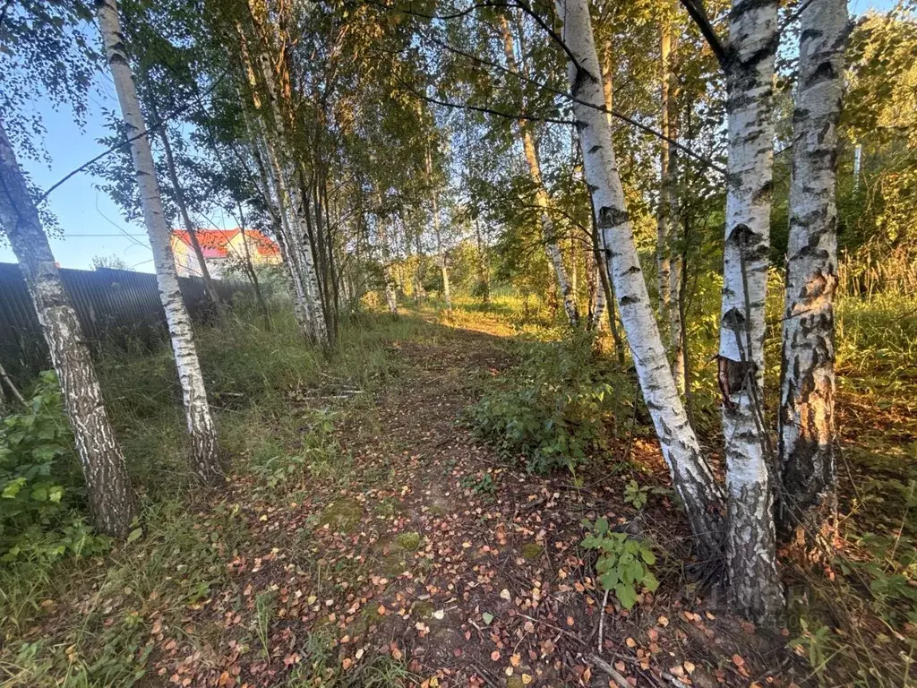 Участок в Московская область, Солнечногорск городской округ, Повадино ... - Фото 2