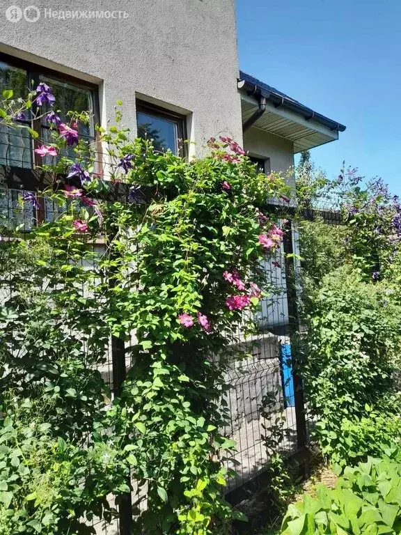 Дом в Санкт-Петербург, Земская улица, 39 (245 м) - Фото 1