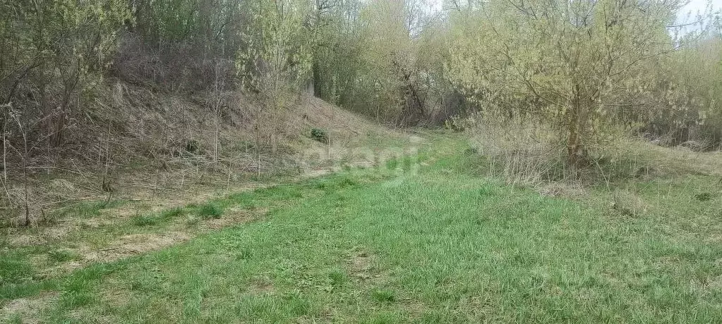 Участок в Воронежская область, Семилукский район, с. Девица ... - Фото 1