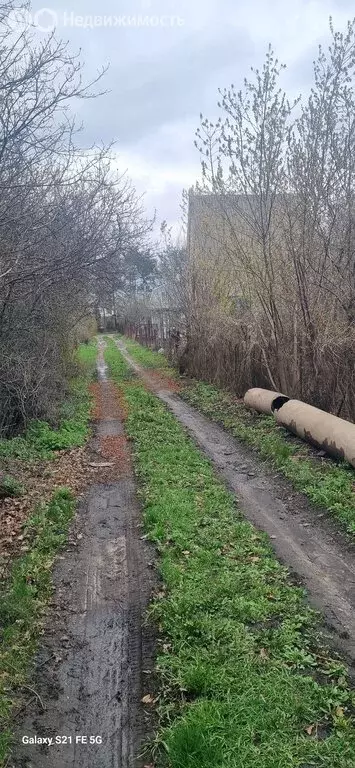 Участок в Воронеж, СНТ Берёзка, 4-я улица (8 м) - Фото 2