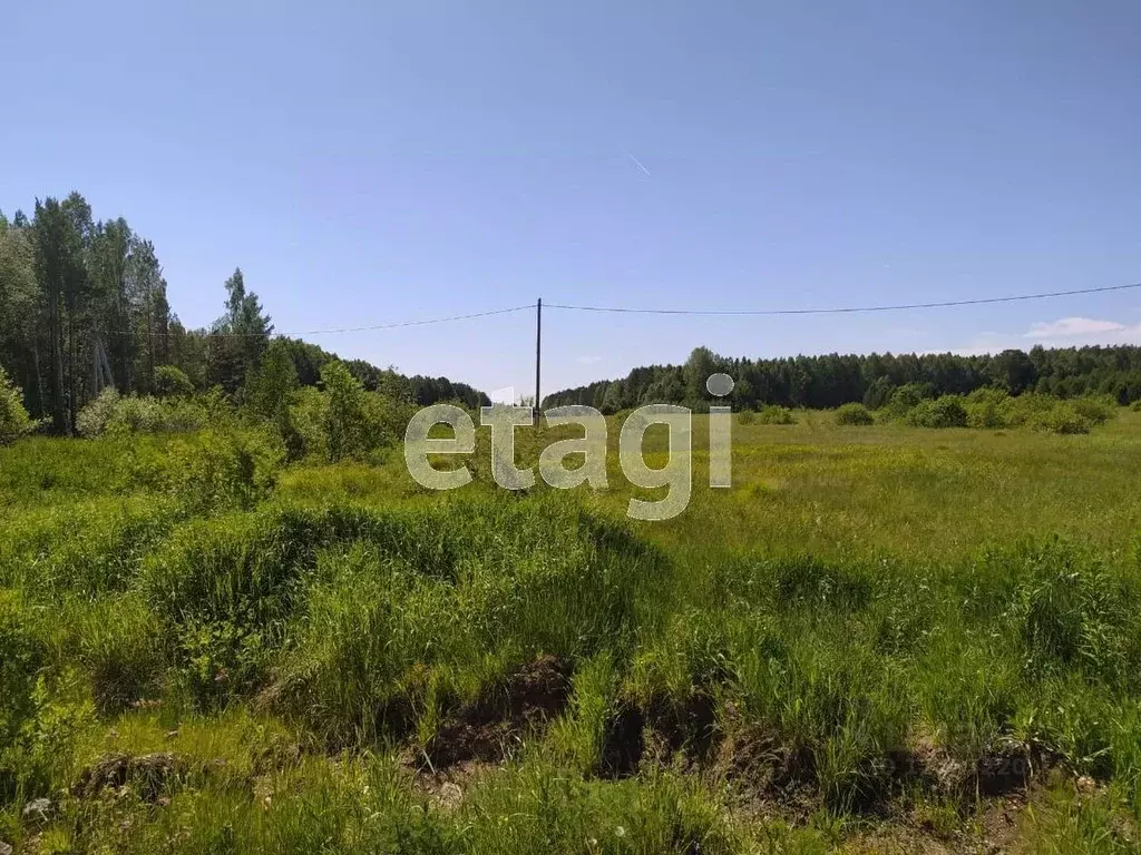 Участок в Свердловская область, Полевской городской округ, с. ... - Фото 0