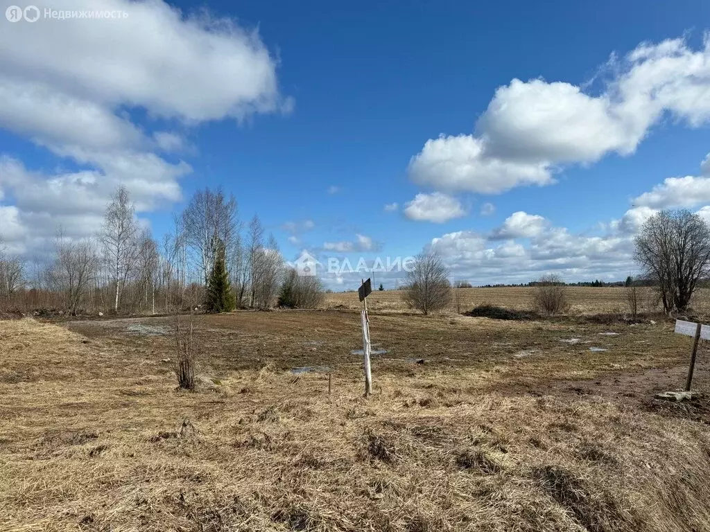 Участок в Вологодская область, Кирилловский муниципальный округ, ... - Фото 2