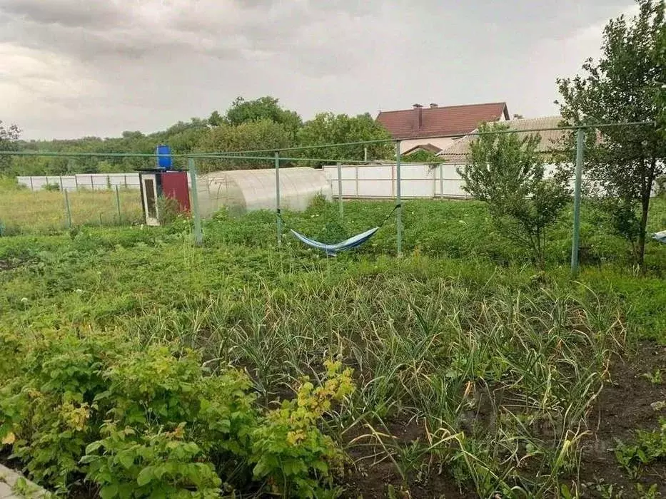 Дом в Воронежская область, Семилукское с/пос, с. Ендовище  (60 м) - Фото 1