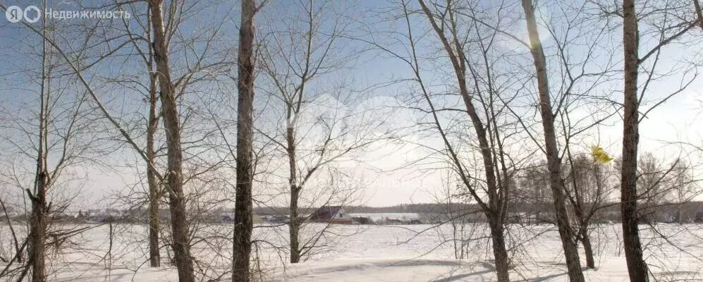 Участок в Новосибирская область, Коченёвский муниципальный район, ... - Фото 2