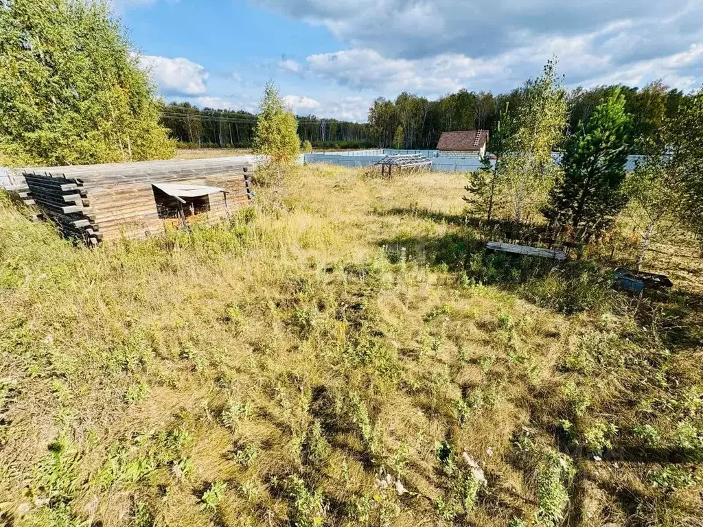 Участок в Челябинская область, Сосновский муниципальный округ, с. ... - Фото 2