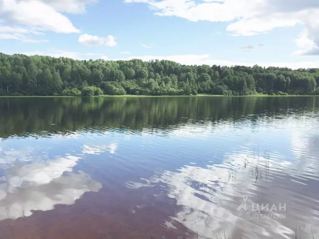 Пашозеро тихвинский район фото