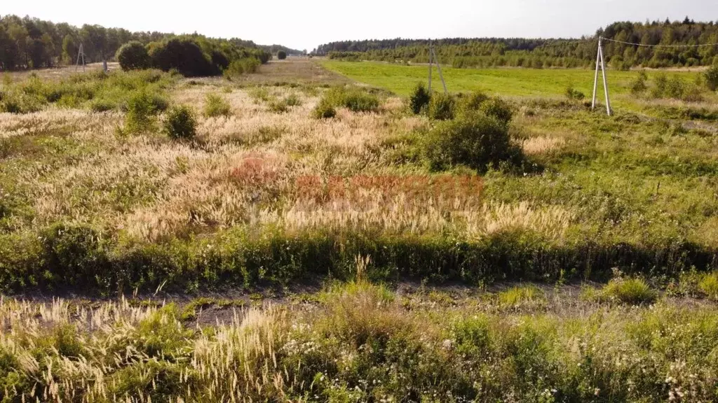 Участок в Московская область, Богородский городской округ, д. Черново  ... - Фото 1