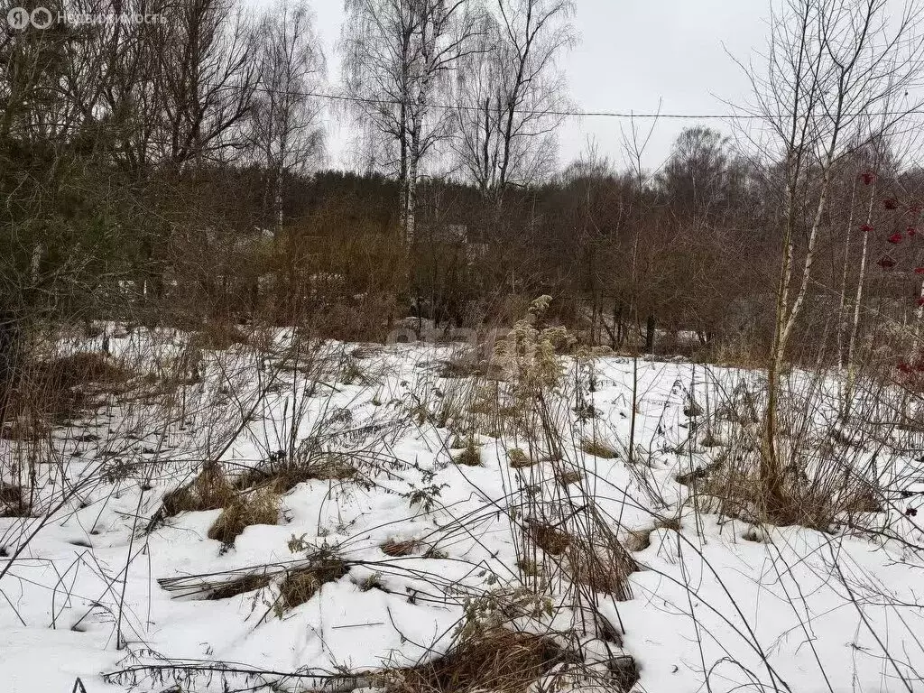 Участок в Московская область, городской округ Подольск, СНТ Ручейки ... - Фото 1