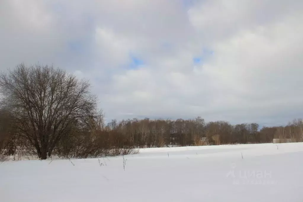 Участок в Московская область, Шаховская муниципальный округ, д. ... - Фото 1