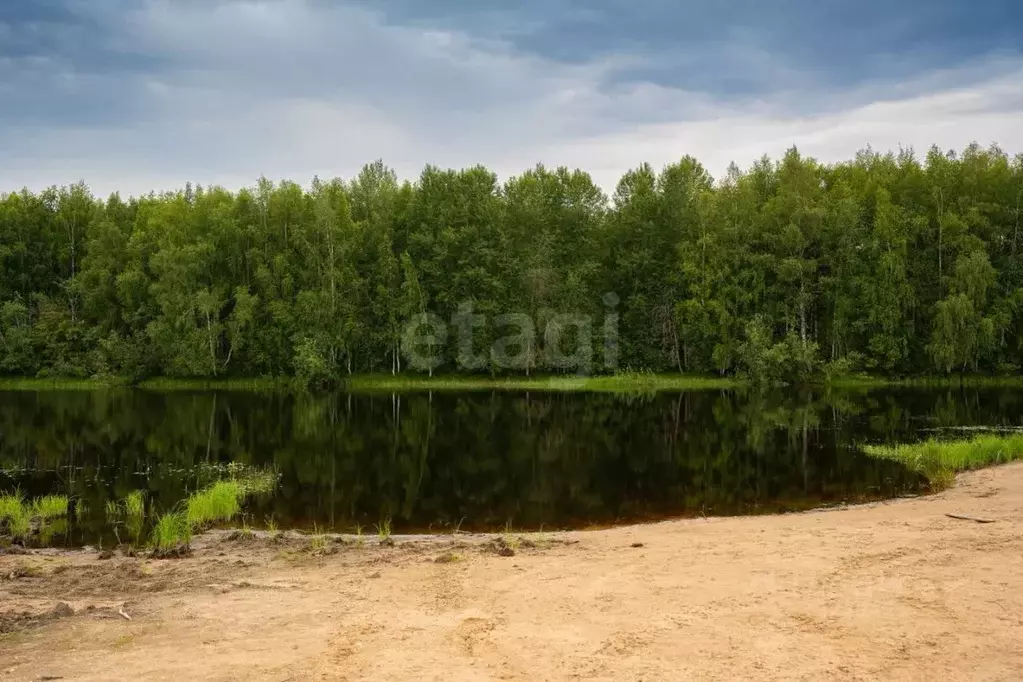Участок в Вологодская область, Сокольский муниципальный округ, д. ... - Фото 2