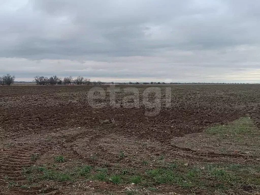 Участок в Крым, Сакский район, с. Уютное  (789.9 сот.) - Фото 1