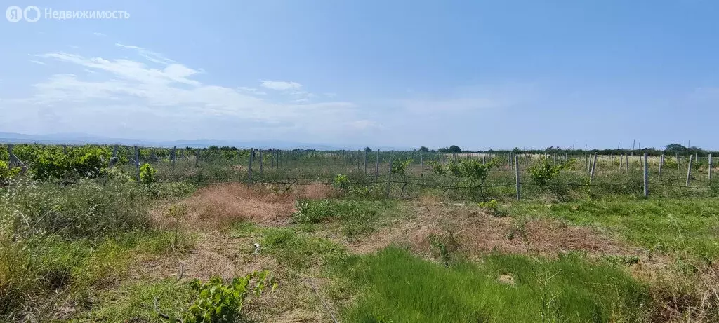Участок в Дербентский район, сельсовет Зидьян-Казмалярский (150 м) - Фото 0