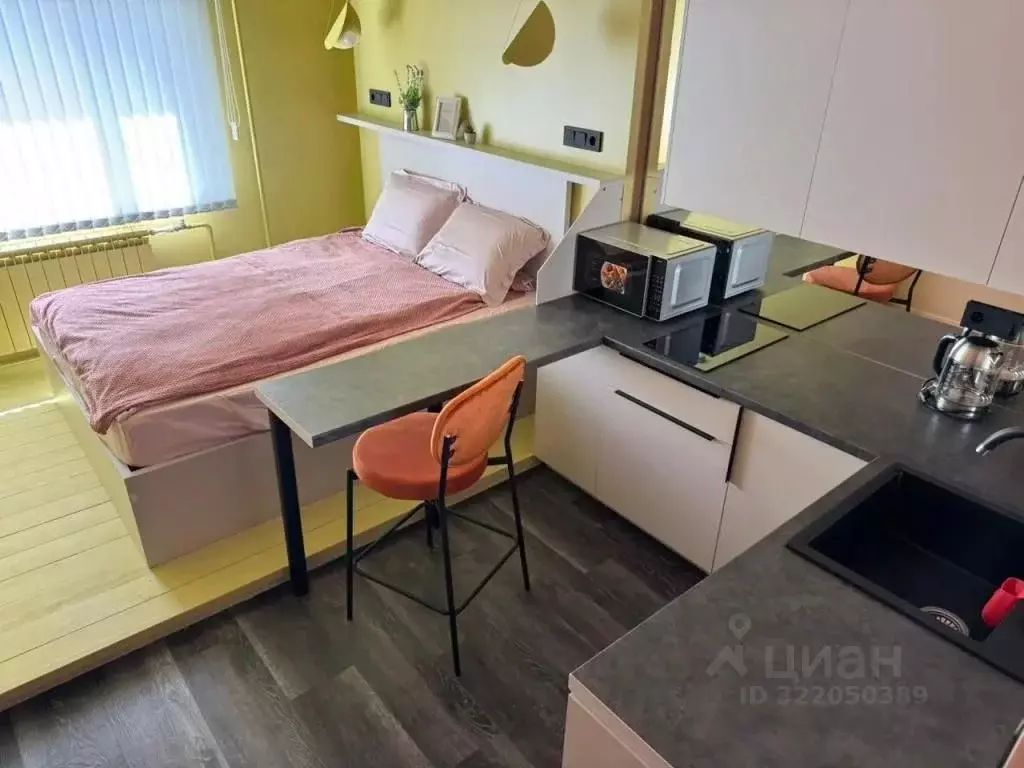 1-к кв. Сахалинская область, Южно-Сахалинск Детская ул., 6А (21.0 м) - Фото 1