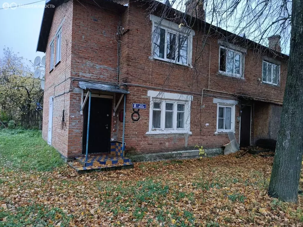 1-комнатная квартира: деревня Юрцово, Новая улица, 8 (31 м) - Фото 2