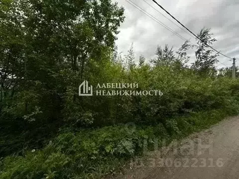 Участок в Ленинградская область, Гатчинский муниципальный округ, ... - Фото 2