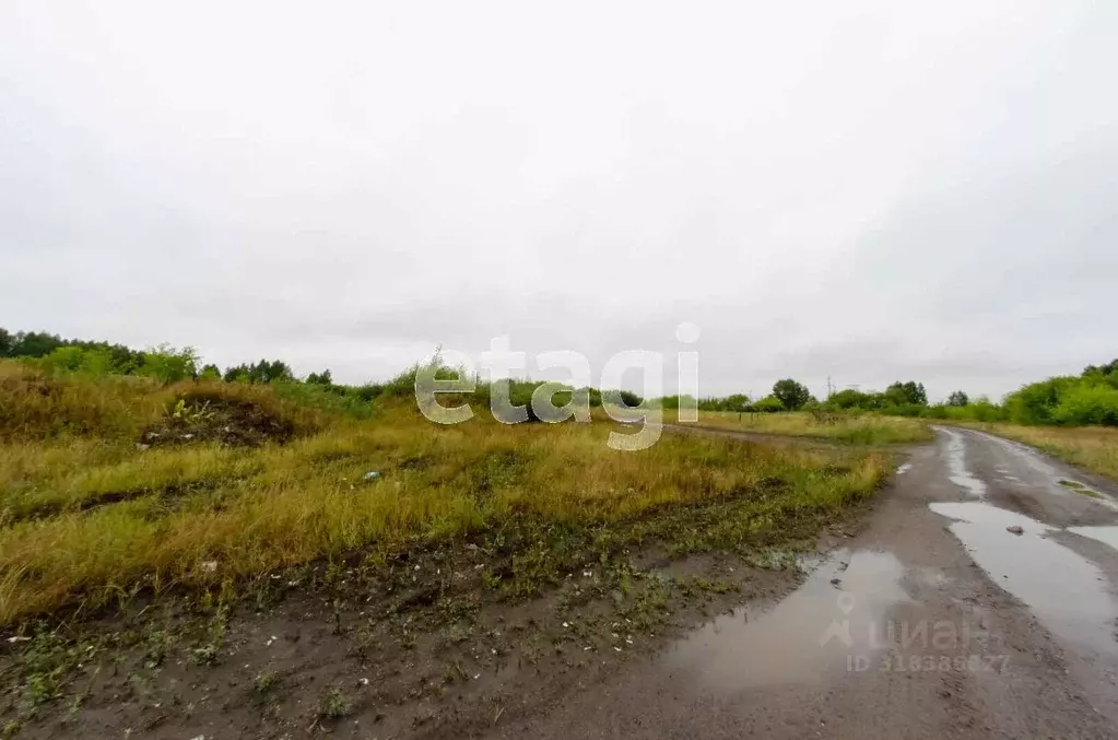 Участок в Курганская область, Шадринск Промышленная ул. (489.36 сот.) - Фото 1