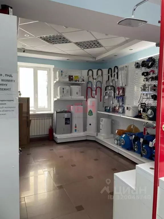 Торговая площадь в Курганская область, Курган ул. Коли Мяготина, 74 ... - Фото 1