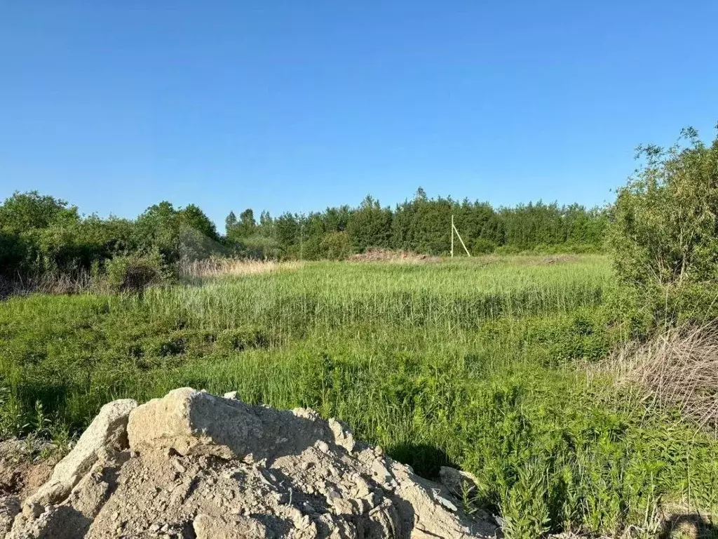 Участок в Тюменская область, Тюмень Большое Царево-1 СНТ, ул. Садовая ... - Фото 1