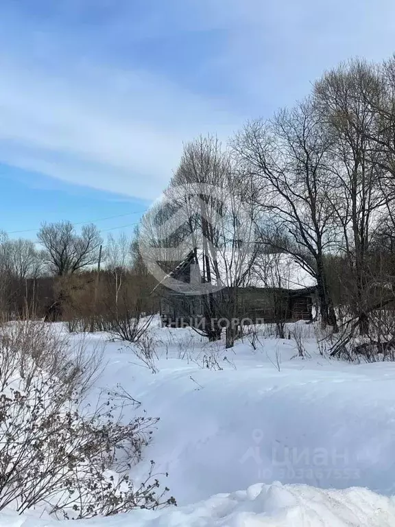 Дом в Тверская область, Рамешковский муниципальный округ, с. ... - Фото 1