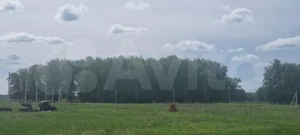 Участок 10 сот. (ИЖС) - Фото 0