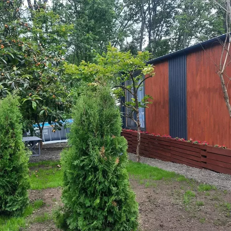 Дом в Краснодарский край, Сочи городской округ, с. Верхневеселое ул. ... - Фото 2