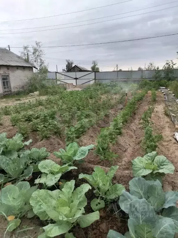 Дом в Саха (Якутия), Якутск Загородный кв-л, ул. Кржижановского (49 м) - Фото 1