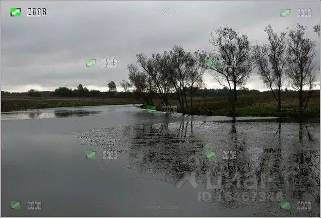 Участок в Владимирская область, Кольчугинский район, с. Богородское  ... - Фото 1