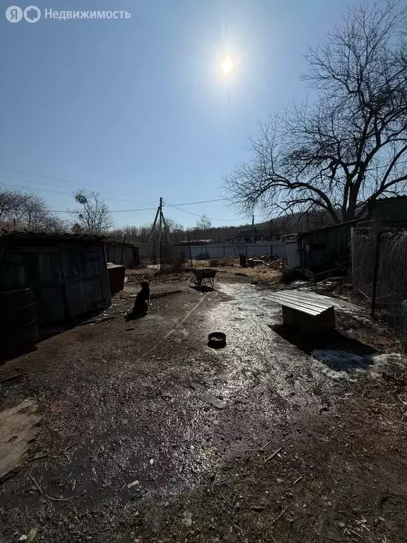 Дом в Надеждинский район, посёлок Алексеевка, улица Ленина, 64 (41.5 ... - Фото 2