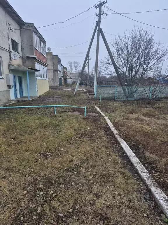 3-к кв. Саратовская область, Петровский район, Пригородное ... - Фото 2