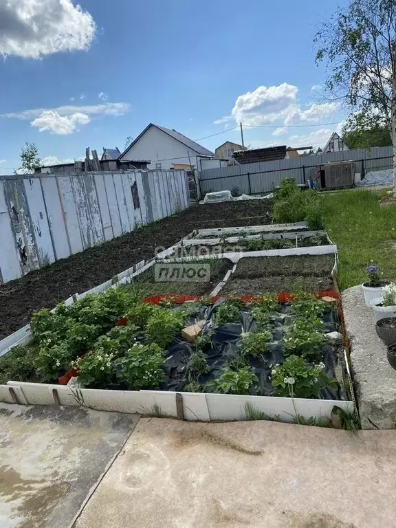 Участок в Ханты-Мансийский АО, Сургут Черемушки СТ, 26-я линия (5.3 ... - Фото 2