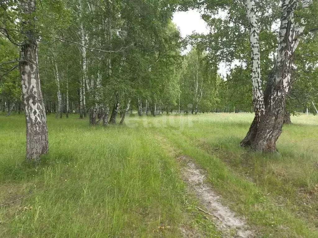 Участок в Тюменская область, Нижнетавдинский муниципальный округ, ... - Фото 1