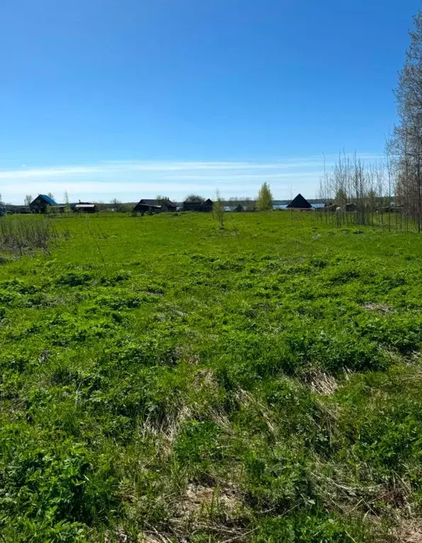 Участок в Тверская область, Селижаровский муниципальный округ, д. ... - Фото 2