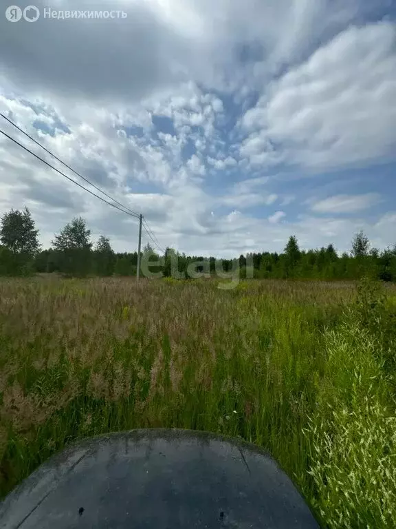 Участок в Нижегородская область, Городецкий муниципальный округ, ... - Фото 0