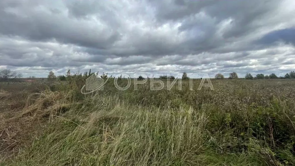 Участок в Свердловская область, Слободо-Туринский район, ... - Фото 0