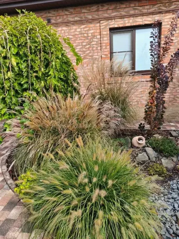 Дом в Ростовская область, Мясниковский район, с. Чалтырь Лазоревая ул. ... - Фото 2