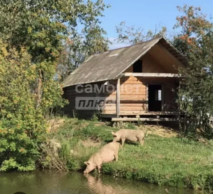 Участок в Костромская область, Красное-на-Волге пгт  (15.0 сот.) - Фото 1